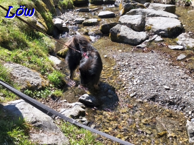 5.4.2026 - Frisches Quellwasser